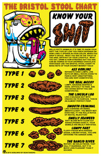Bristol Stool Chart Poster